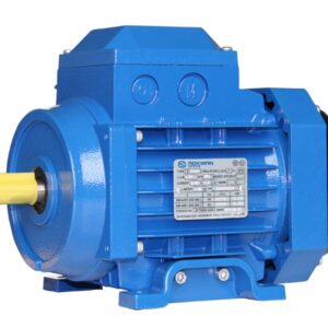 China Electrical Motors