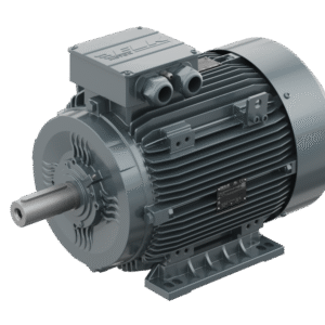 Turkey Electric Motors